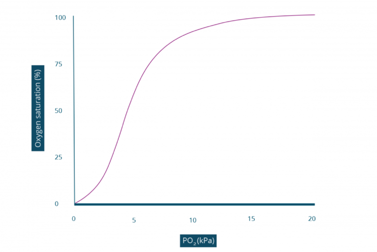 Oxygen dissociation curve